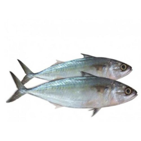 Japanese-mackerel-Salmon-and-shrimps-Kenya