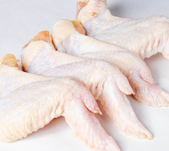 Fresh Chicken Wings ( Per Kg)