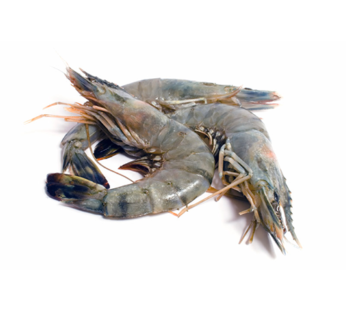 2kg king prawns (Per Box)