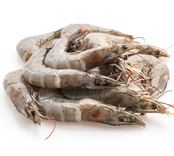 2KG S1 queen prawns (per Box)