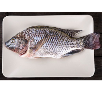 Whole Tilapia (Per Kg)